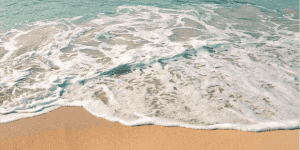 Ledevoordele-fotos-3_1-1024x512-1-300x150