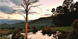 Ledevoordele-fotos-8_1-1024x512-1-300x150