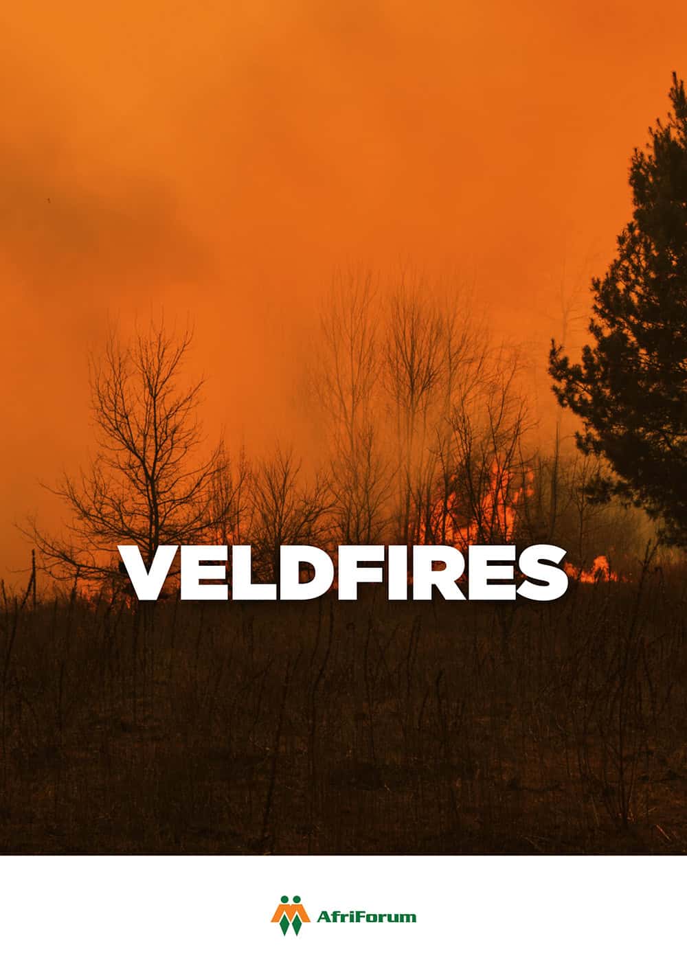 Veldfires