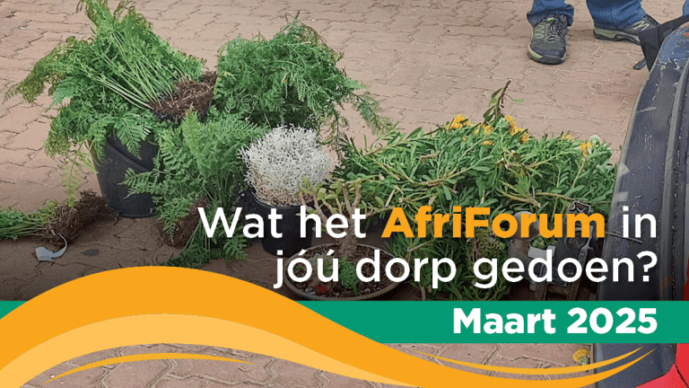 TAKSUKSESSE: MAART 2025